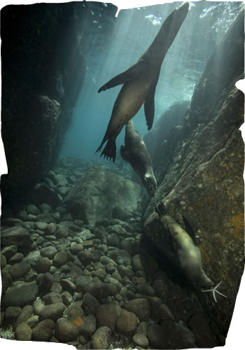 Sea of Cortez and La Paz, Mexico