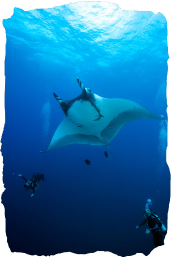 Socorro Islands